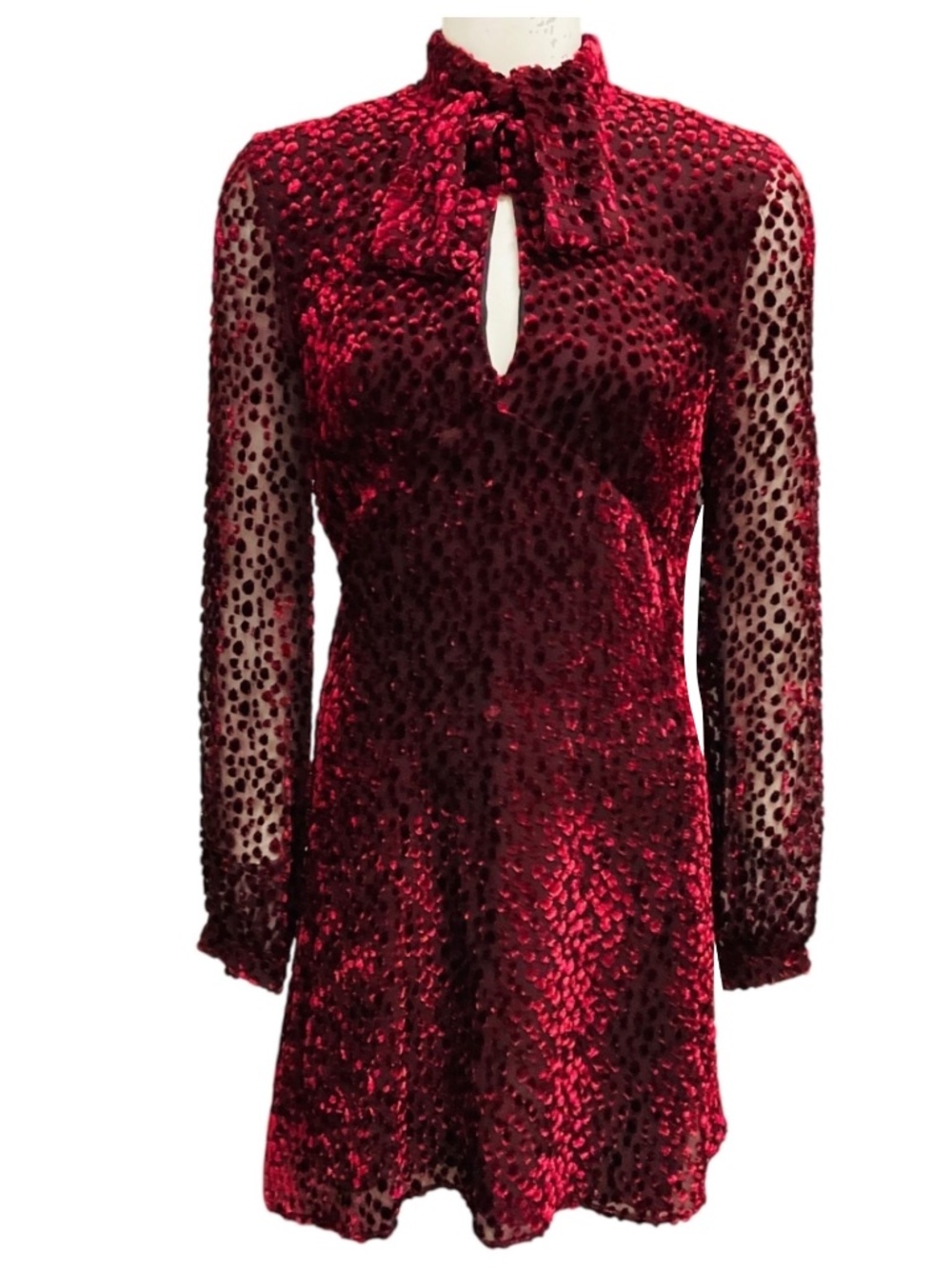 Saint Laurent Burgundy Devore Mini Dress